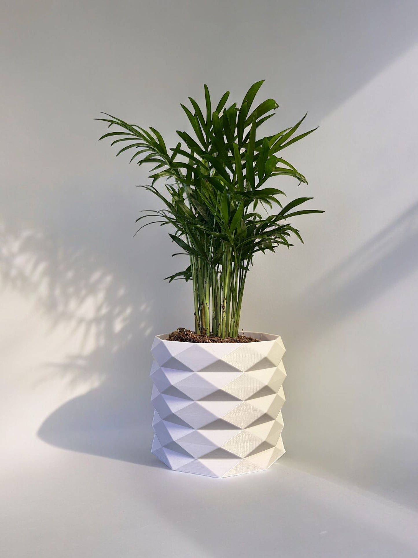 Geometrischer Blumentopf aus dem 3D Durcker